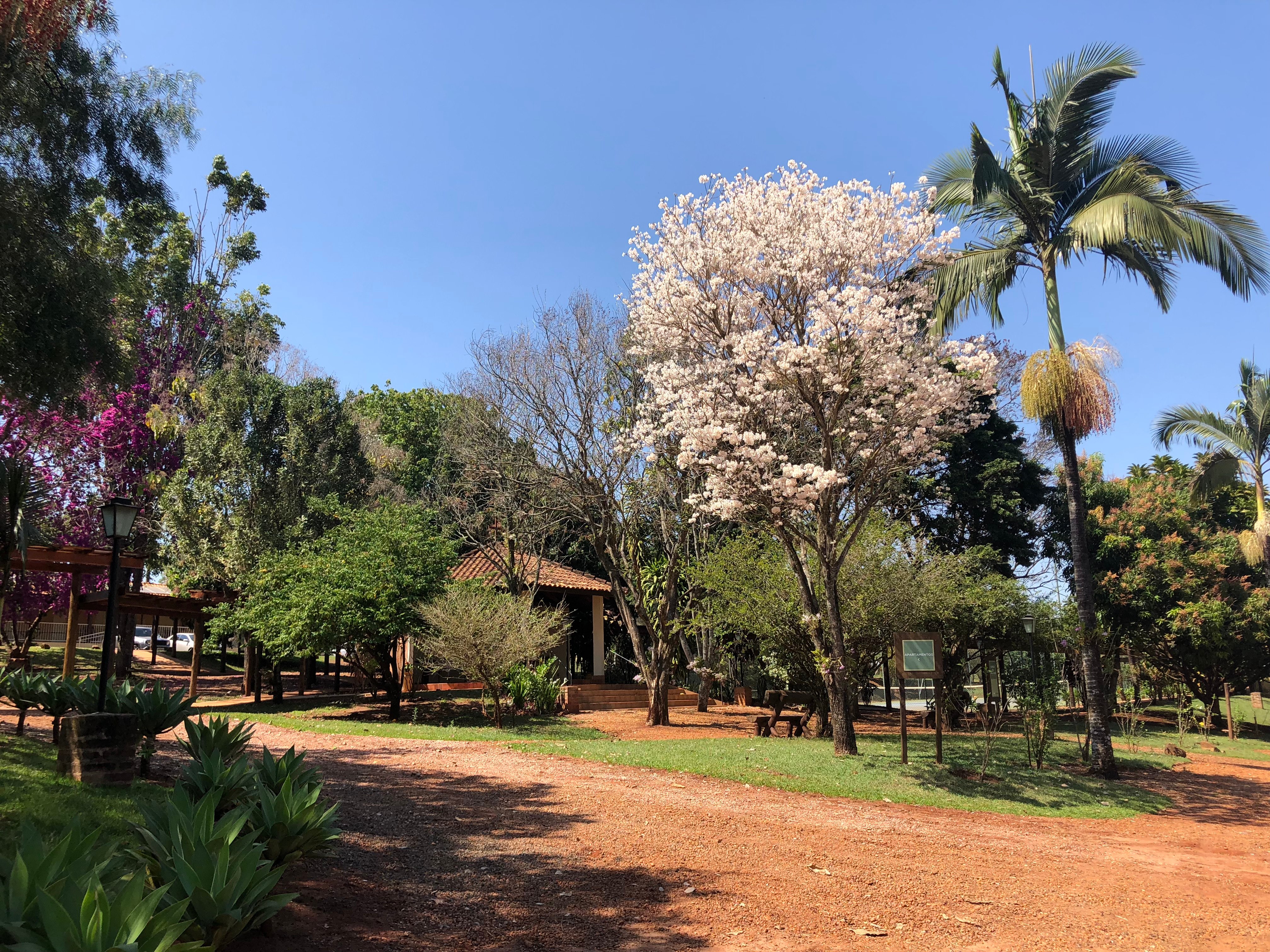 Hotel Fazenda Areia que Canta-浴室