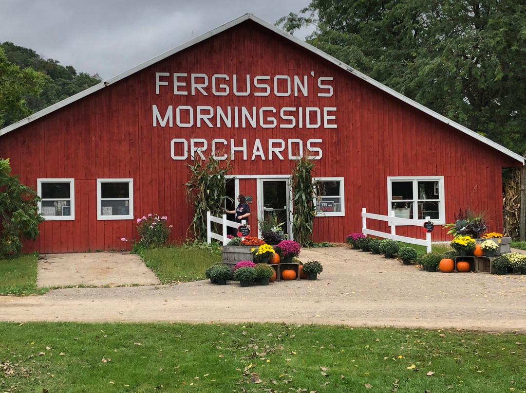 Ferguson's Morningside Orchard景点图片