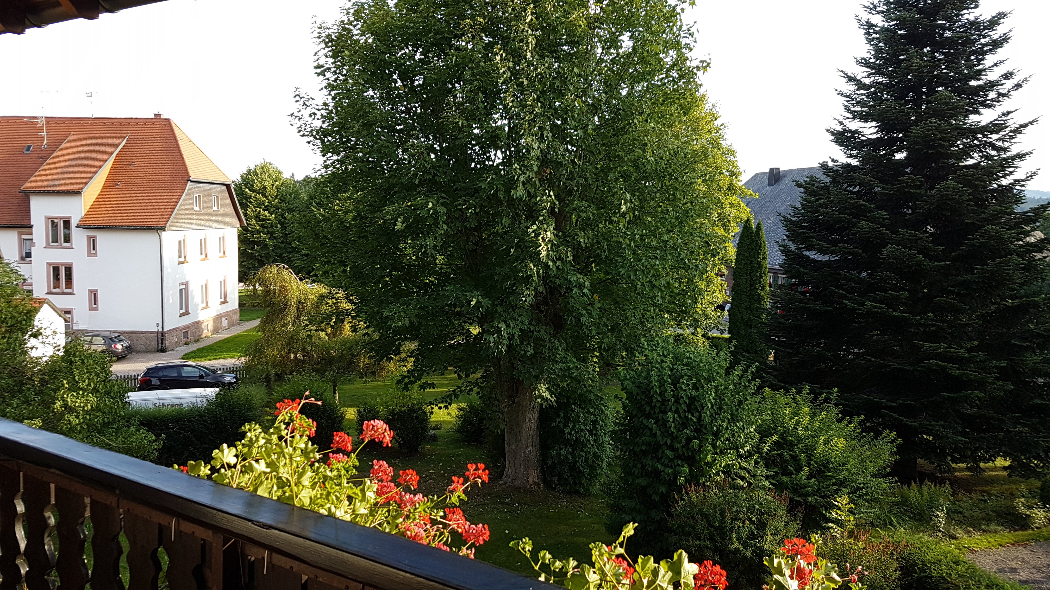 Hotel Hochfirst Garni-酒店景观