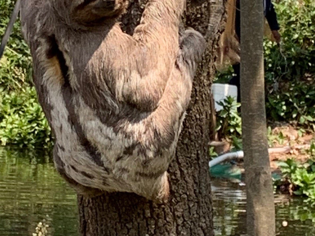 Jardin Botanico Santa Cruz景点图片
