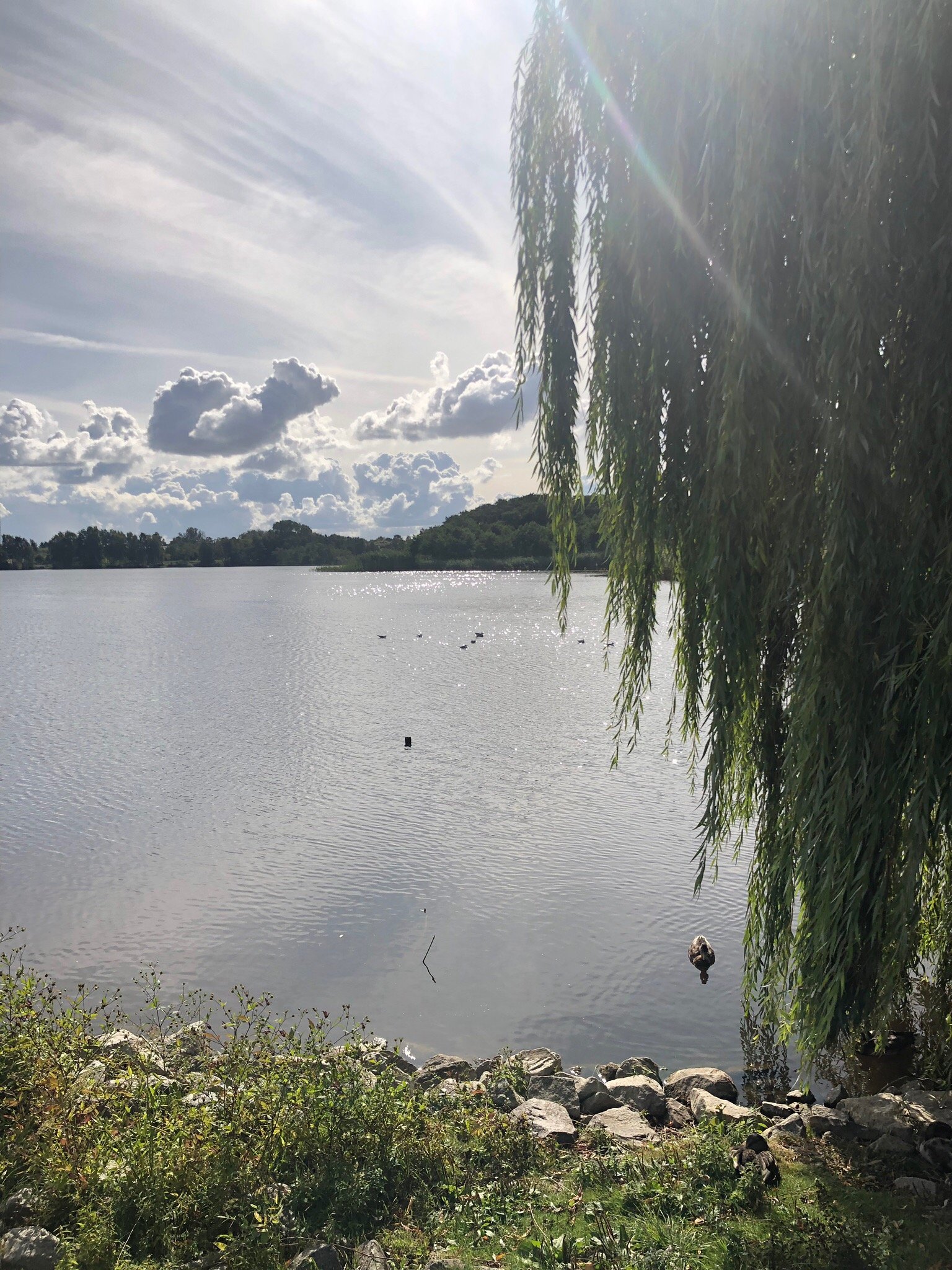 Ostseehotel - Villen im Park-官方