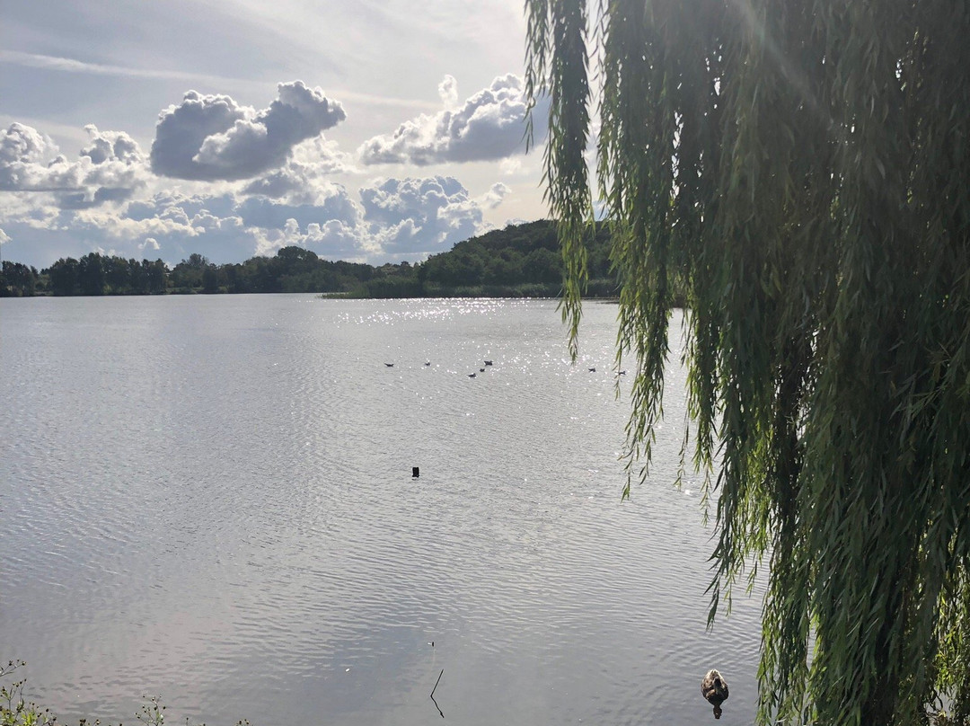 Ostseehotel - Villen im Park主图