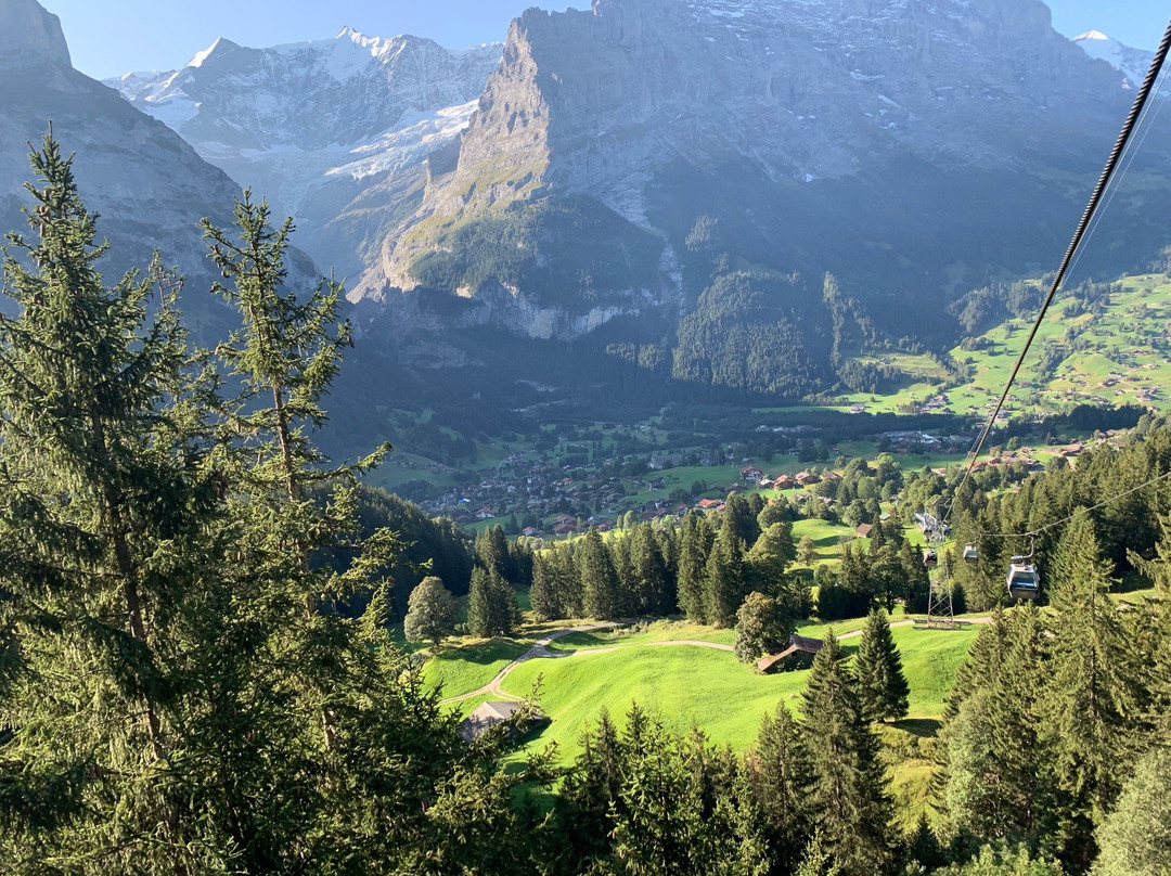 Grindelwald Walking Tours-格林德瓦必去景点