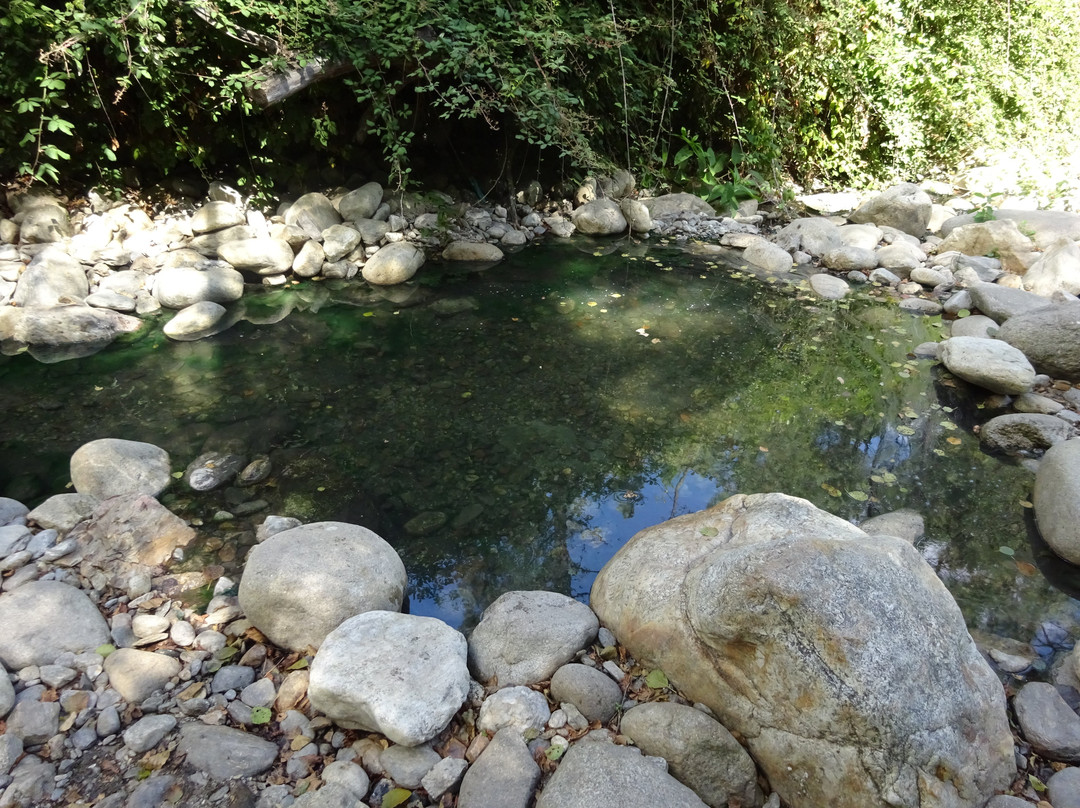 Termas Prexigueiro景点图片