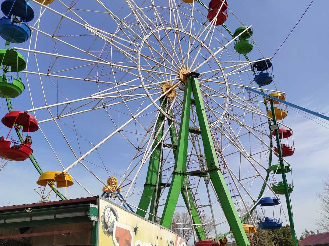 Emelya Amusement Park景点图片