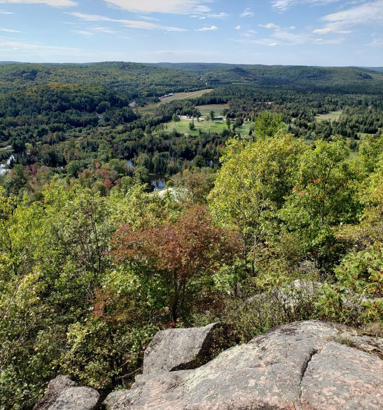 Eagle's Nest Park & Lookout景点图片