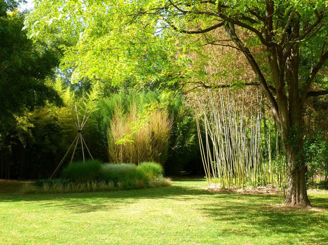 Le Parc aux Bambous景点图片