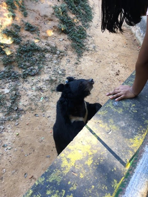 Hlawga Wildlife Park-仰光必去景点