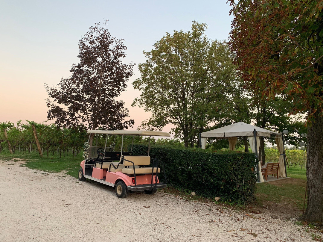 Azienda Agricola Masserino景点图片
