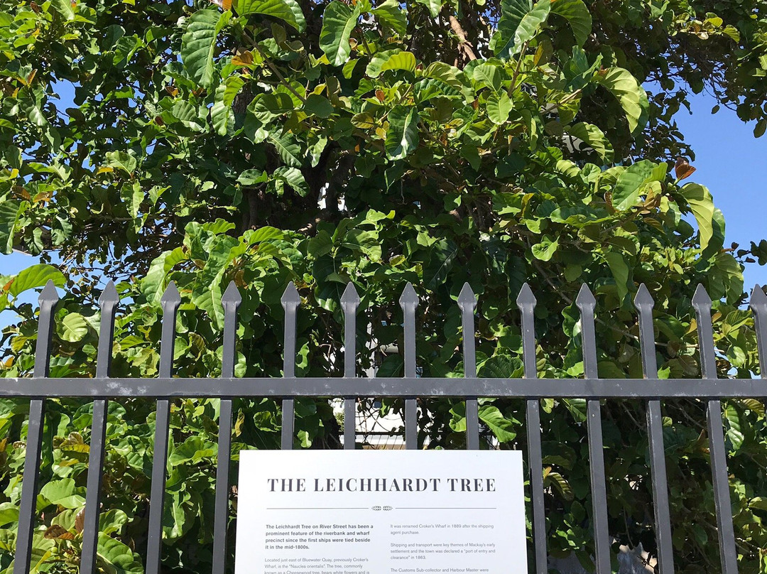 The Leichhardt Tree景点图片