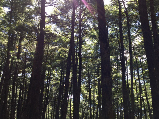 Pond Shirakoma-佐久穗町必去景点