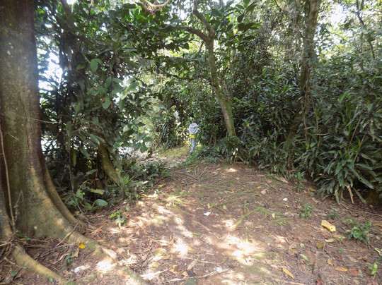 Mirembe Resort Beach Hotel主图