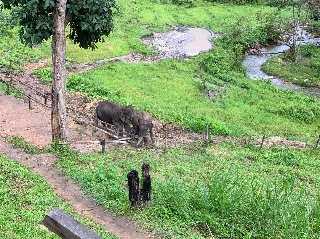 Karen Elephant Habitat-Mae Win必去景点
