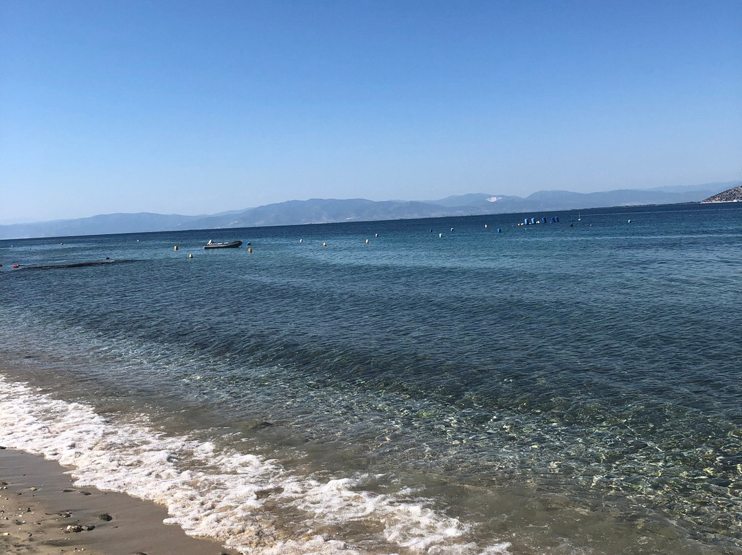 Villa Teresa Luxury Suites主图