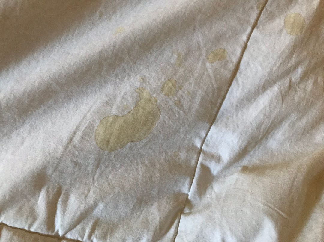 Cerulean Hotel主图