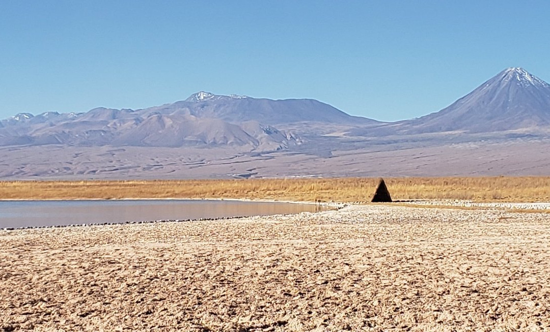 Laguna Cejar景点图片