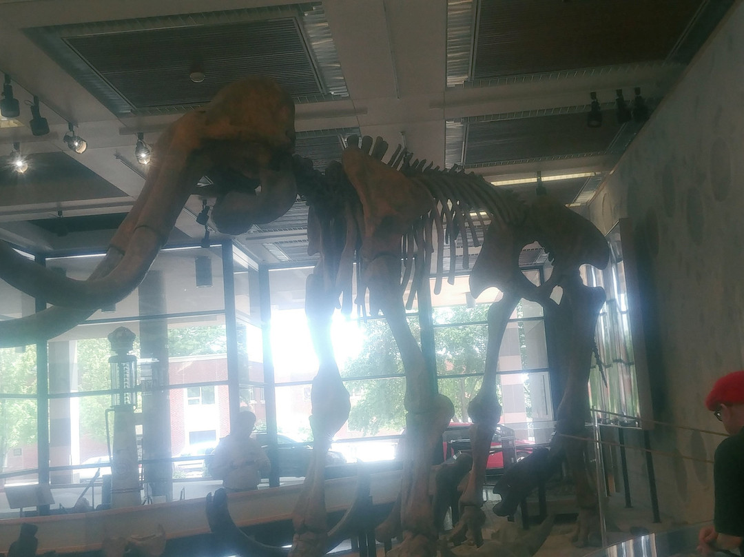 State Historical Museum景点图片