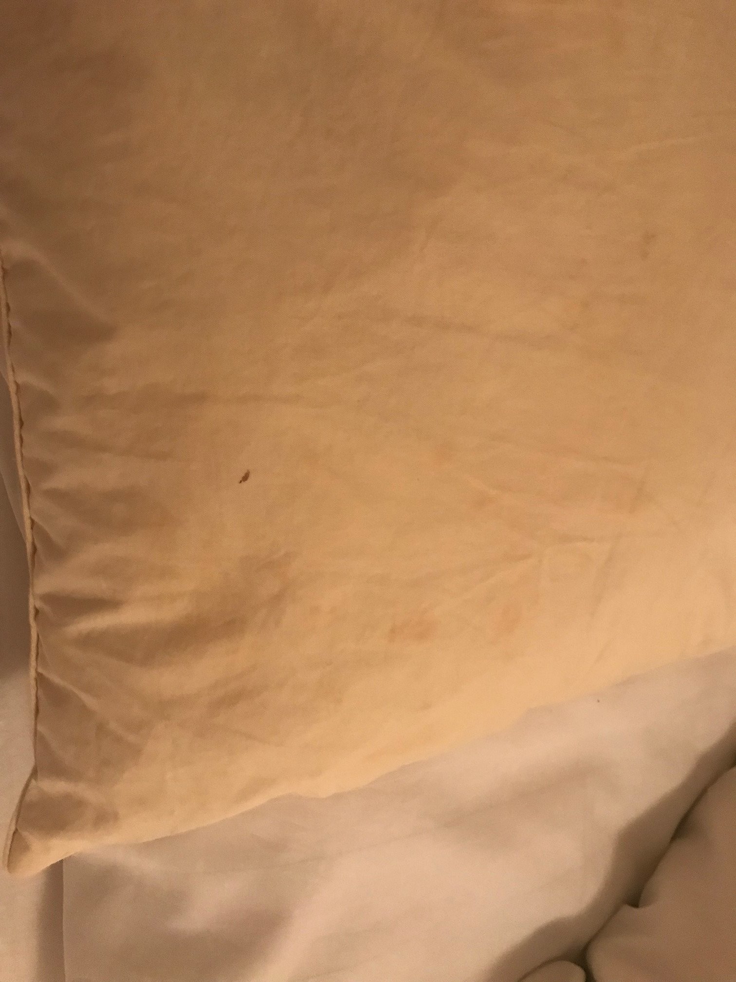 Hotel - Gasthof zur Post-官方