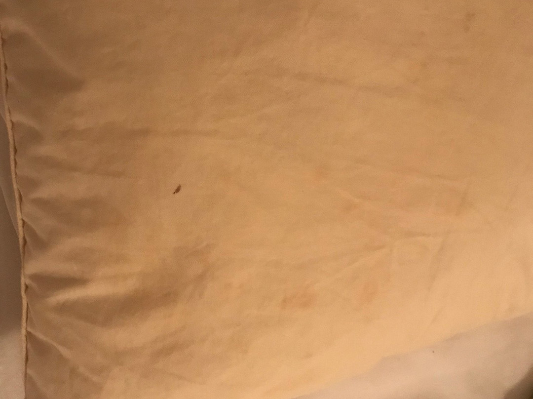 Hotel - Gasthof zur Post主图