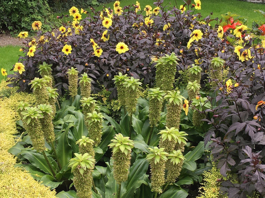 Knockpatrick Gardens-福因斯必去景点