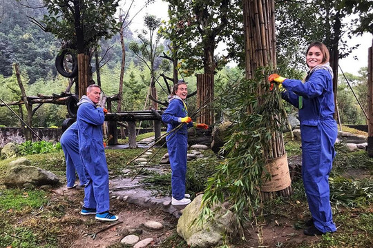 China Discovery Panda Volunteer-成都必去景点