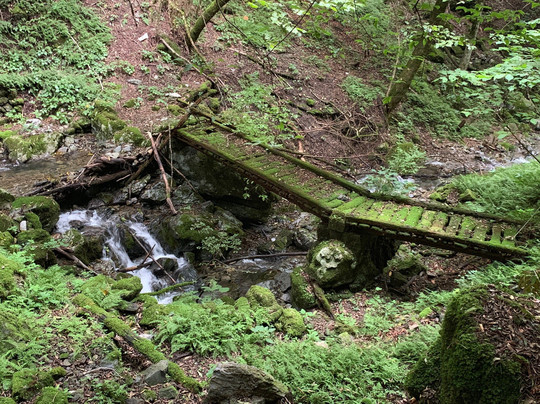 Takasunoyama-奥多摩町必去景点