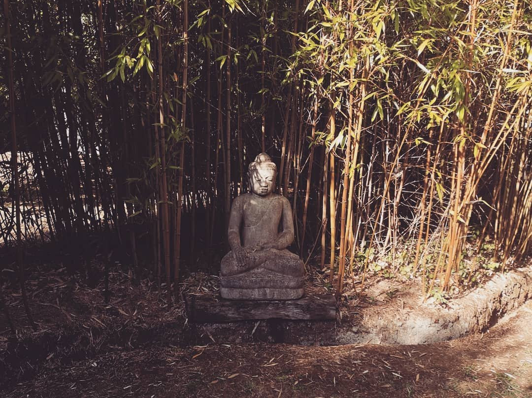 Les Mandalas Chambres d'Hotes主图