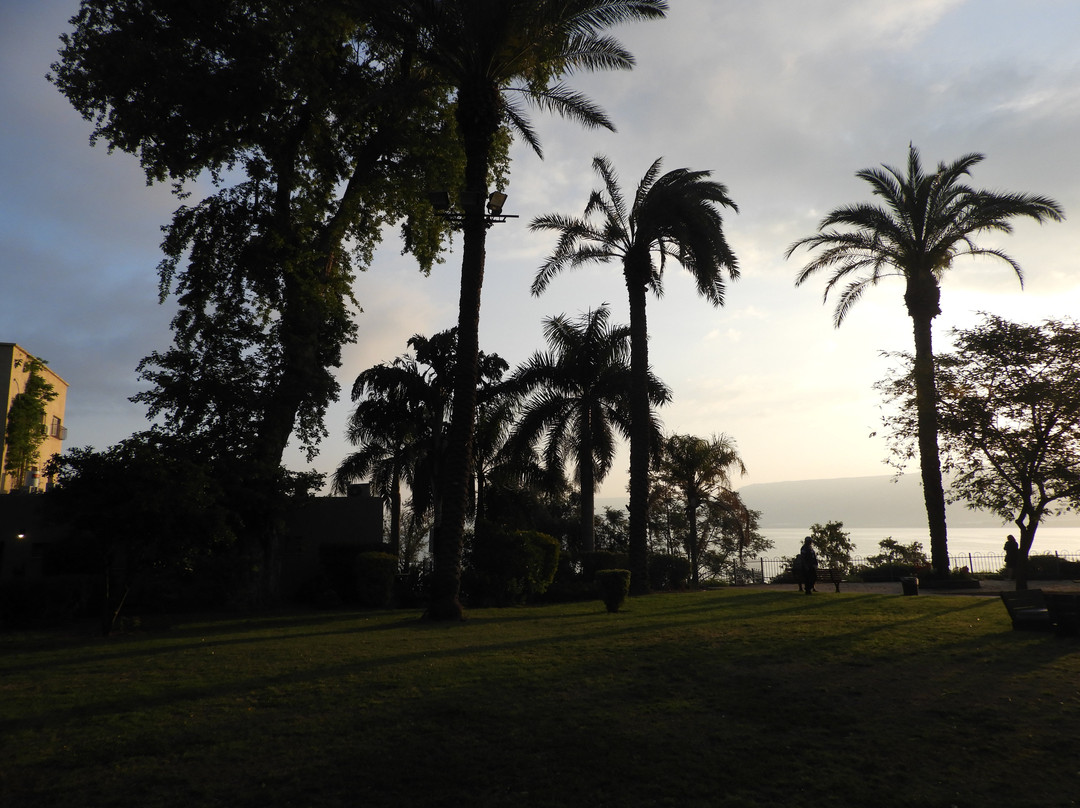 Ohalo Manor Hotel主图