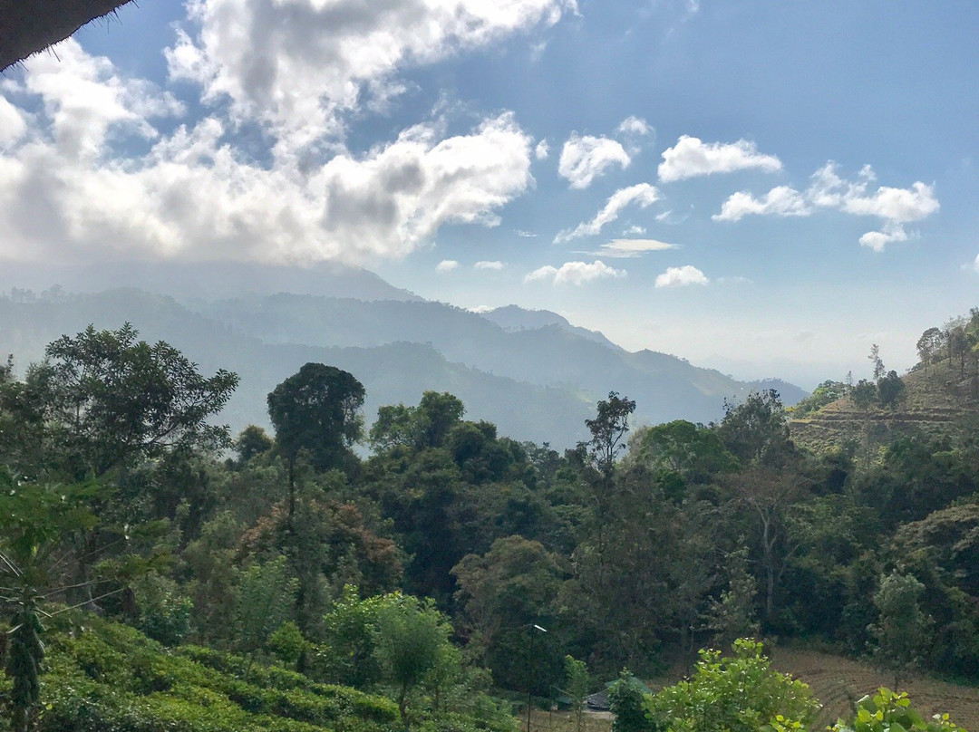 Boutique Sri Lanka景点图片