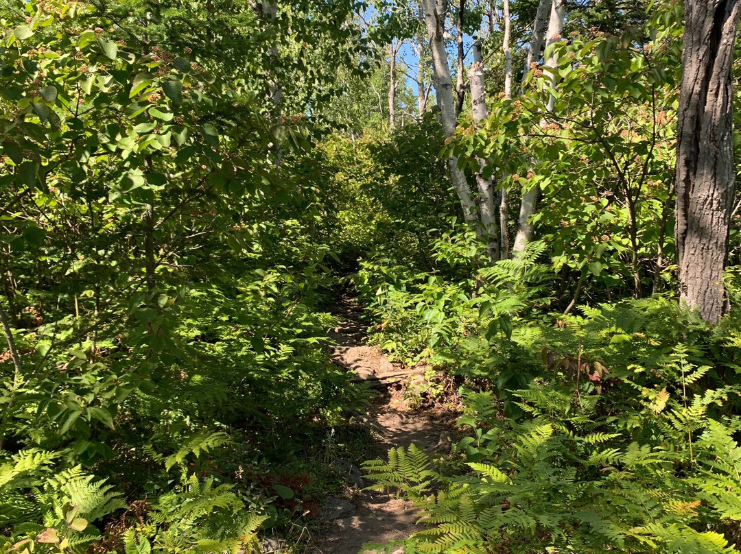 Little Cove Beach-托伯莫里必去景点