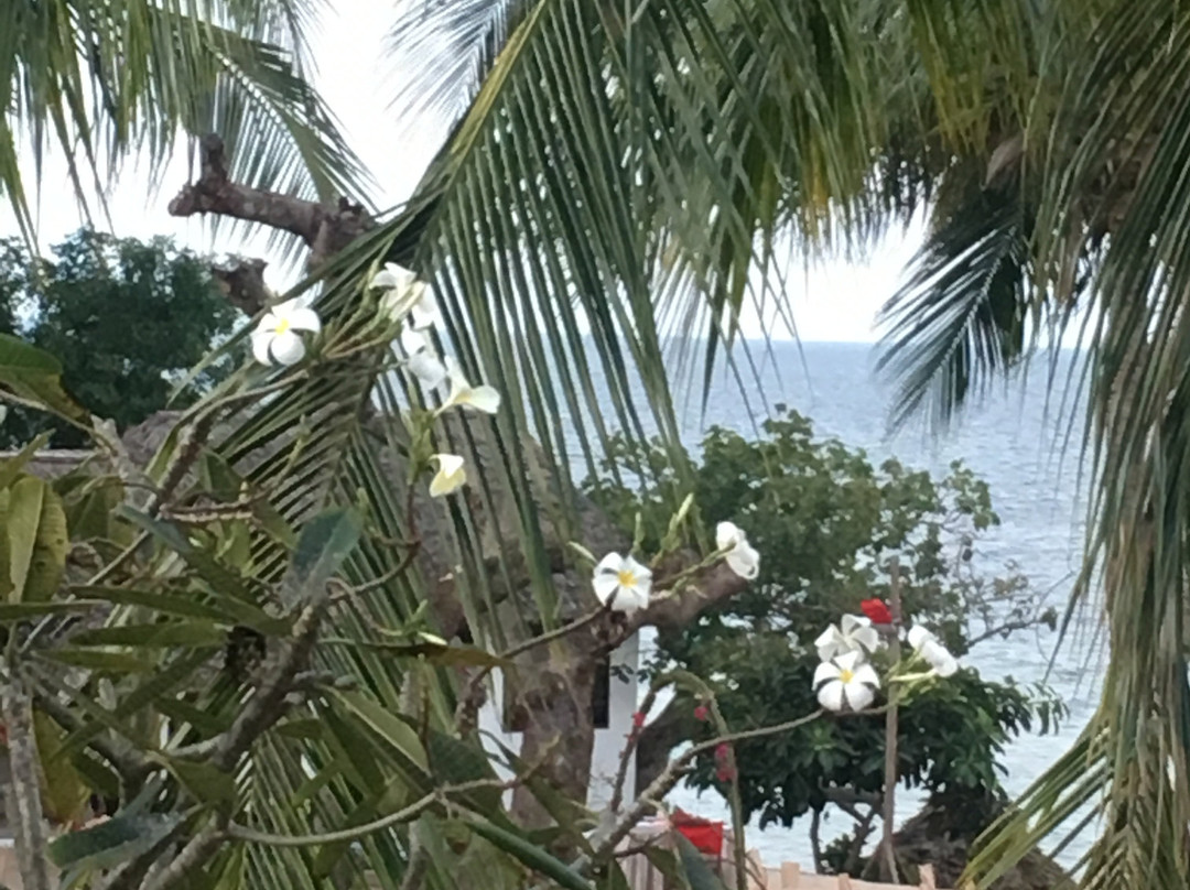 Filao Beach by Sansi主图