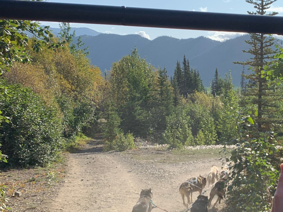 Tagish Lake Kennel-Tagish必去景点