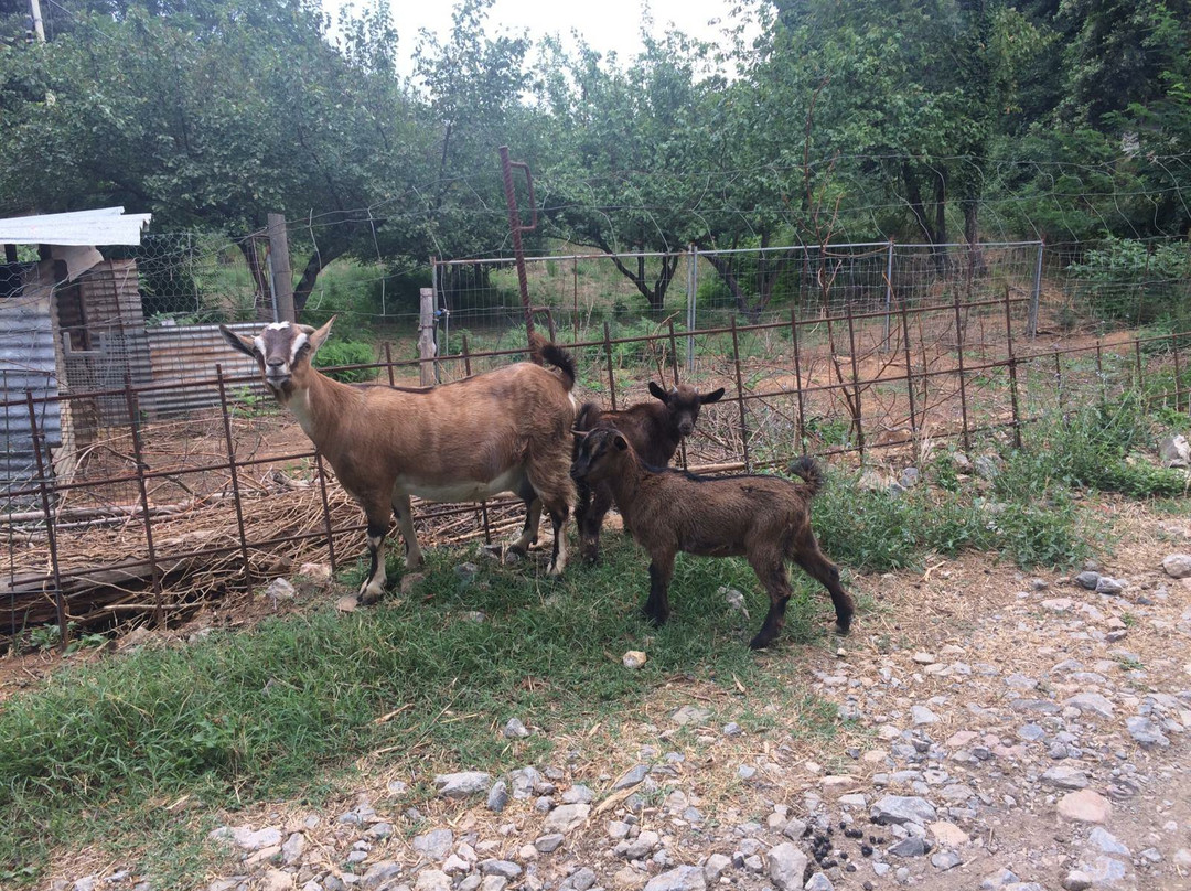 Agriturismo La Miniera