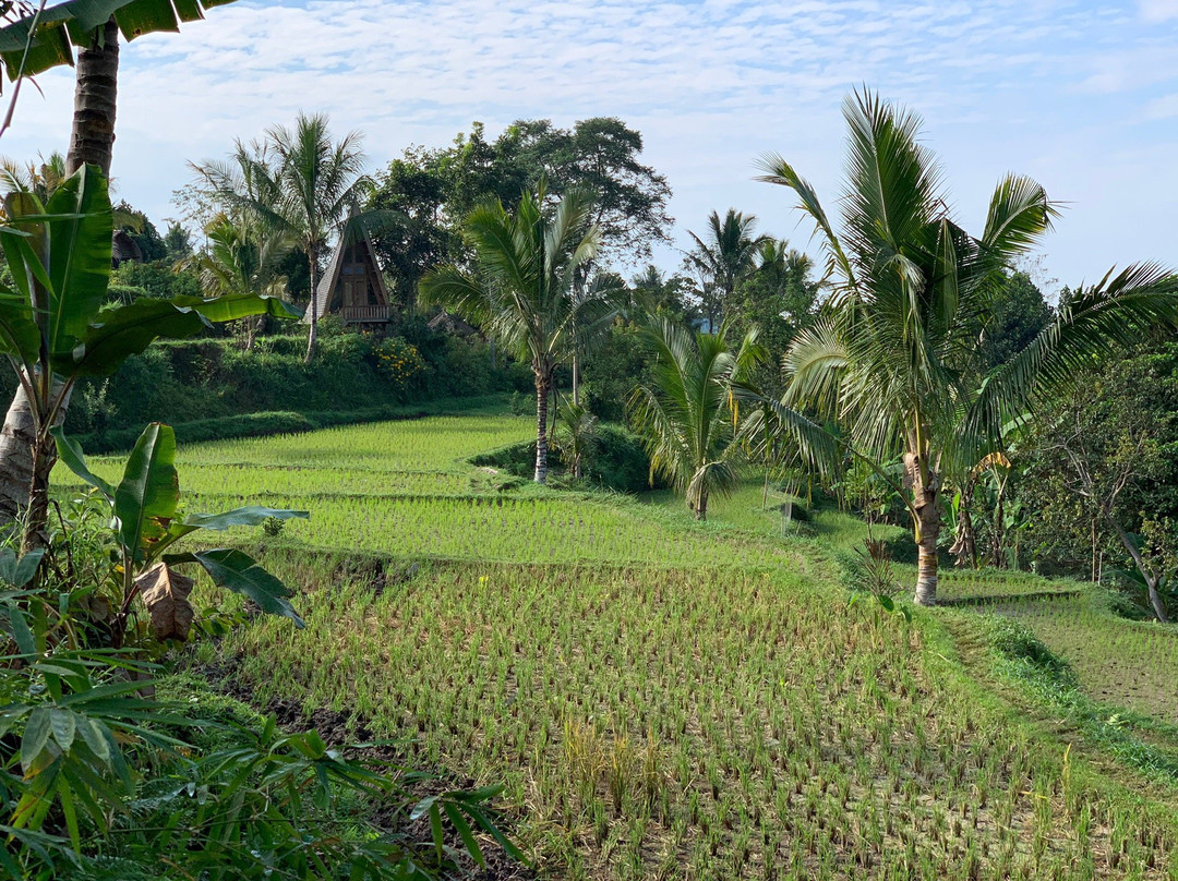 Antonis Buton Tetebatu Tour Guide-Tetebatu必去景点