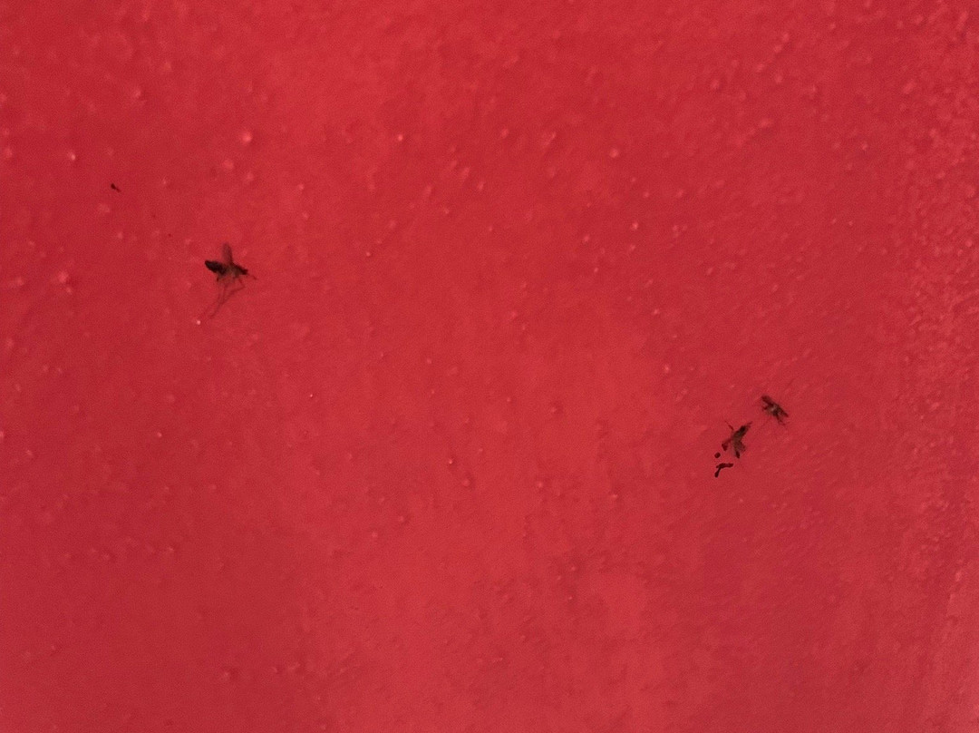 翁贝托酒店主图