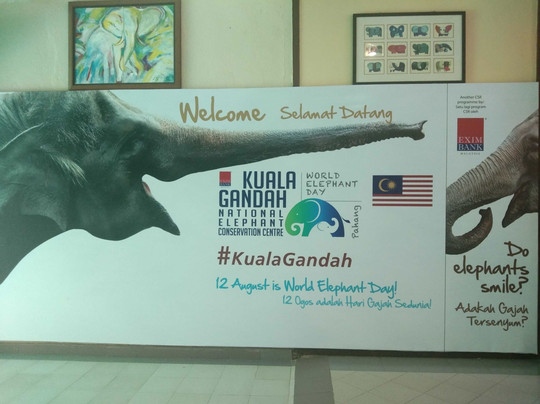 KL Starex Transportations-吉隆坡必去景点