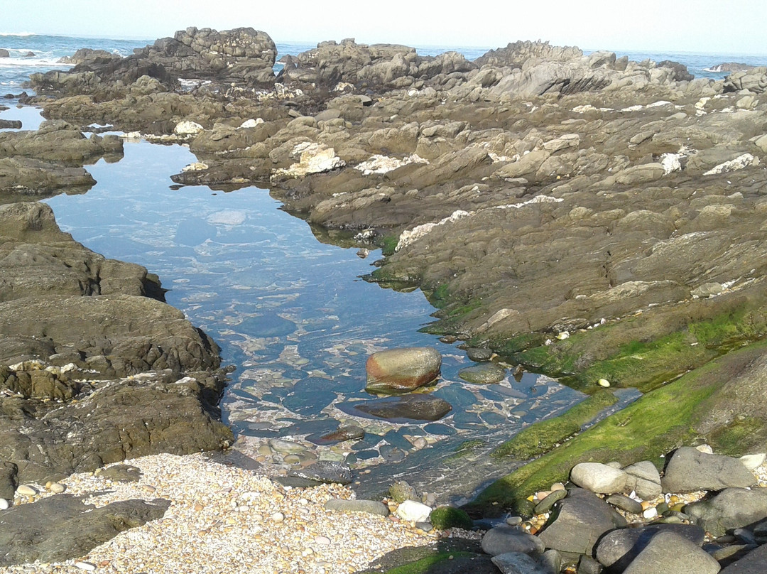 Beachview Beach-Beachview必去景点