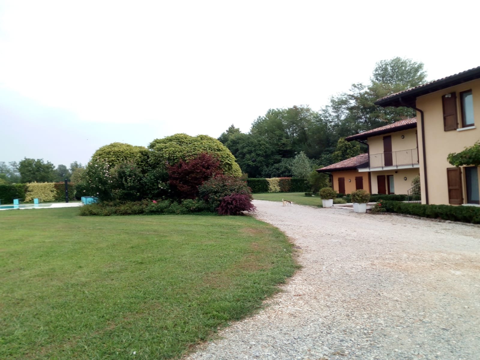 B&B Al Mulino-官方