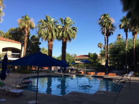 Ivy Palm Resort-泳池