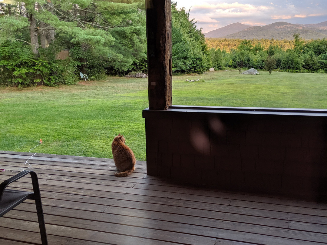 Franconia Notch Guest House主图