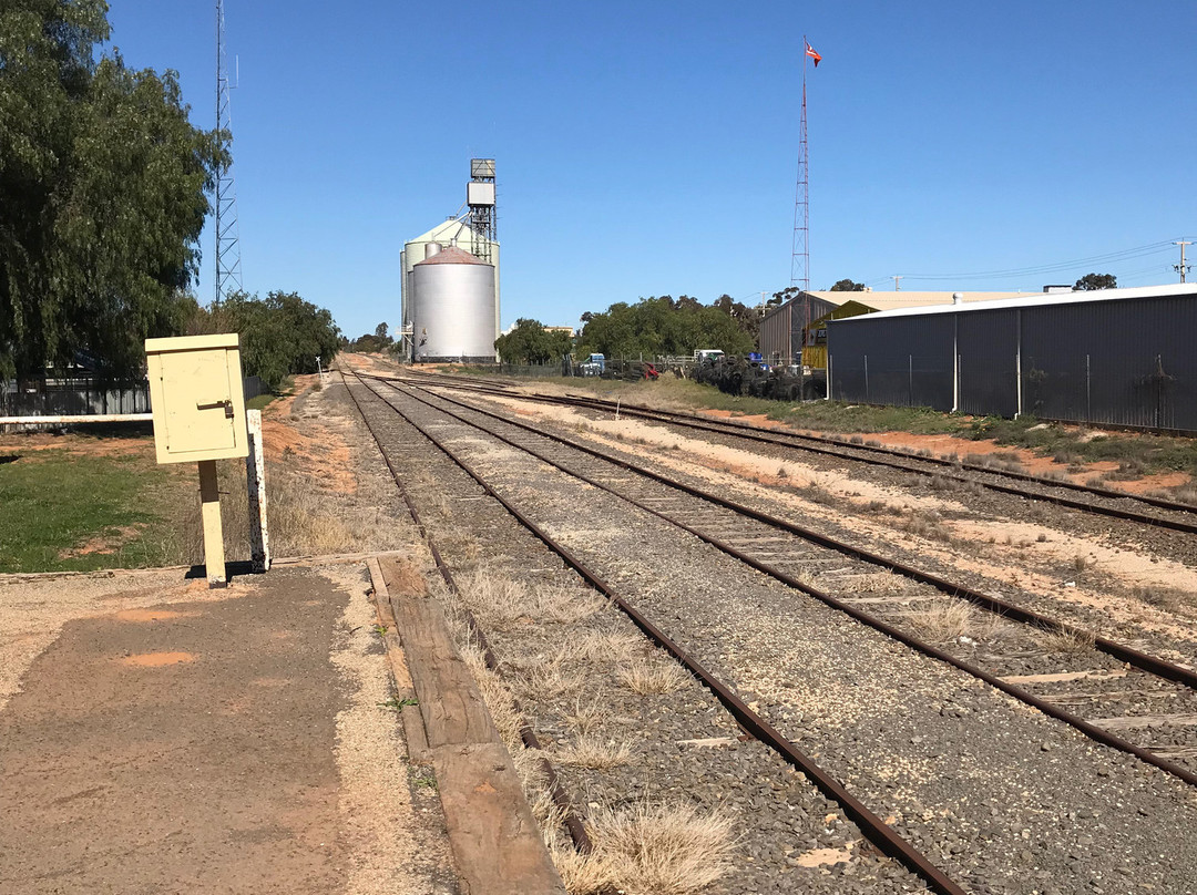 Robinvale-Euston Visitor Information Centre-Robinvale必去景点