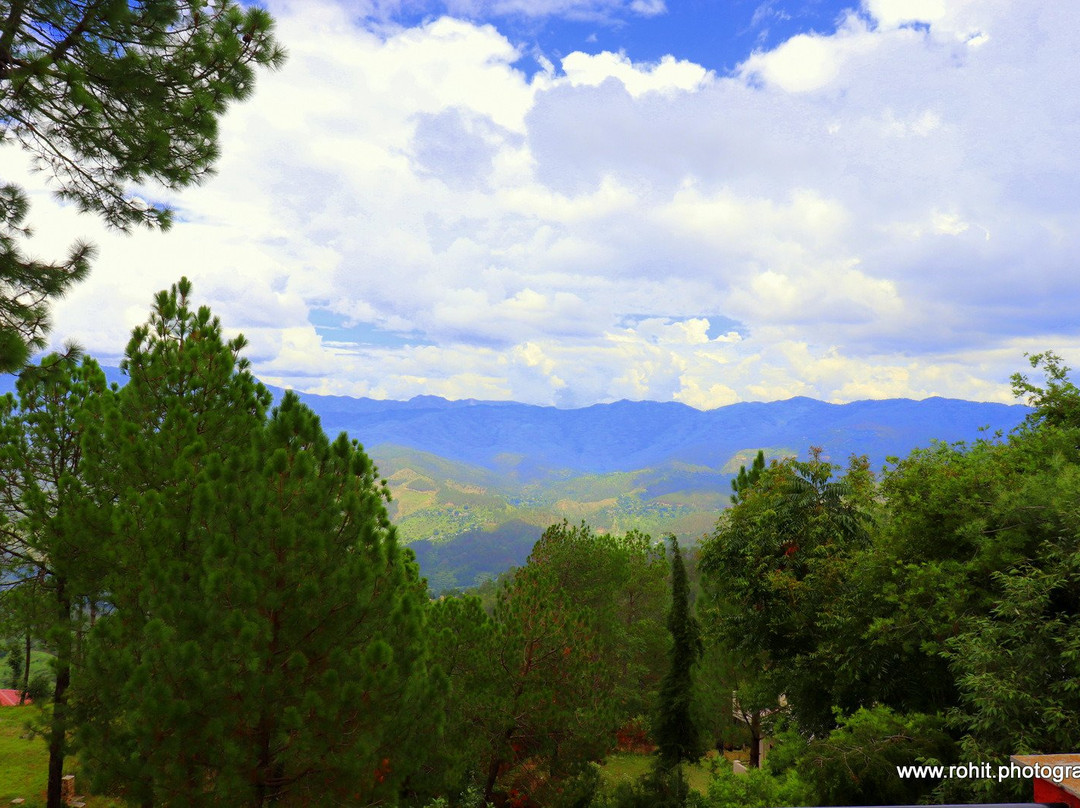 Roseville Cottage主图