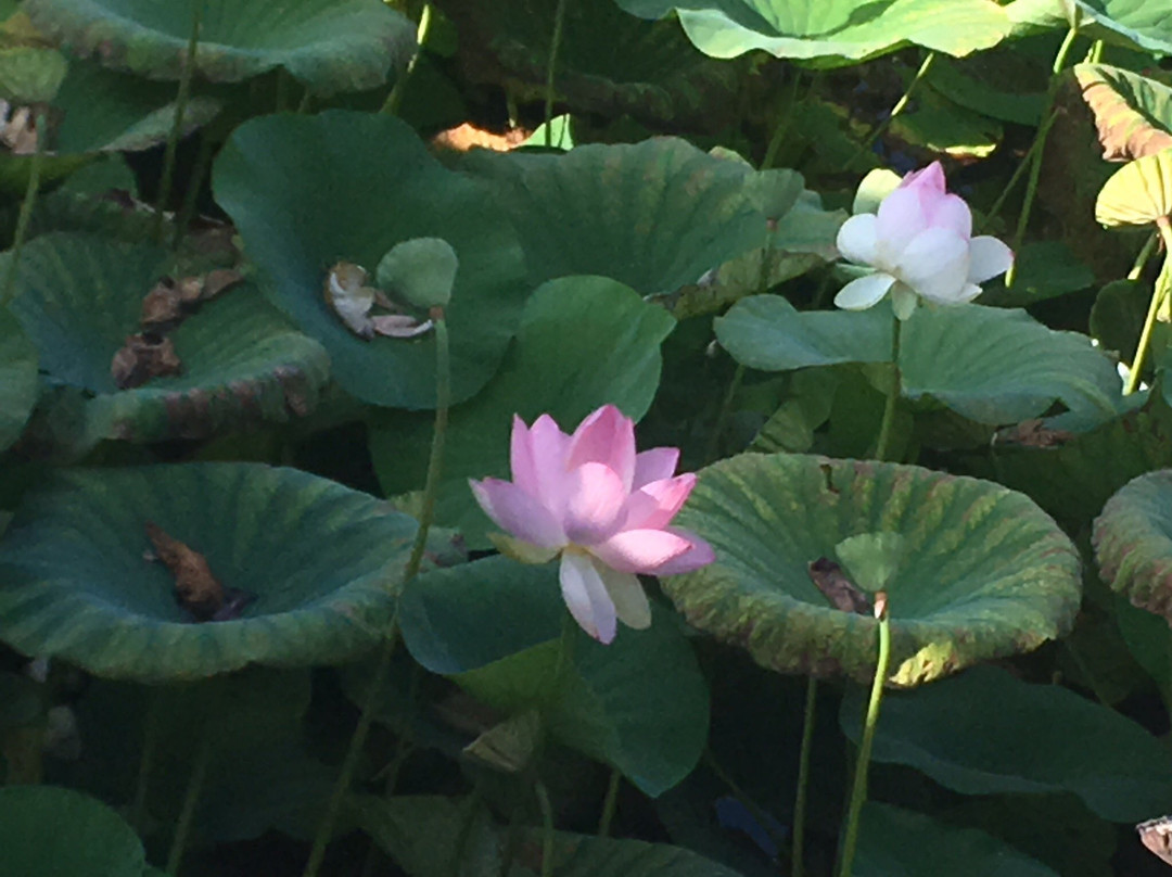 Château Beauregard-Pomerol必去景点