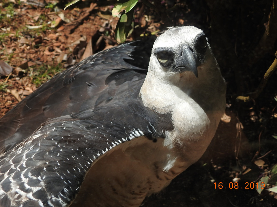 BioParque Vale Amazônia-Parauapebas必去景点