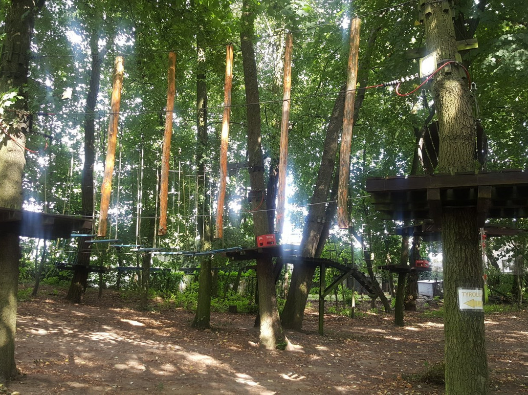 Cascader Rope Course Park景点图片