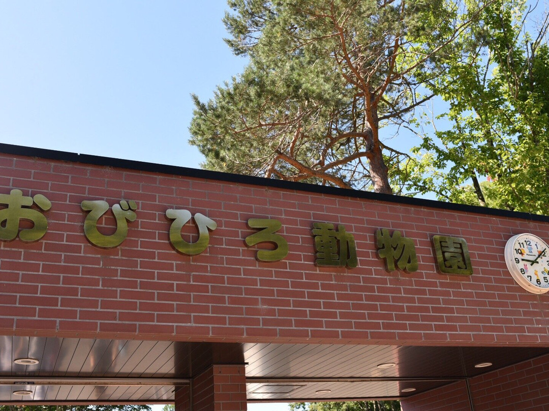 Obihiro Zoo景点图片