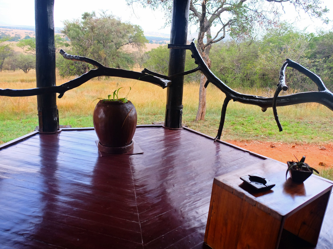 Mbalageti Safari Camp主图