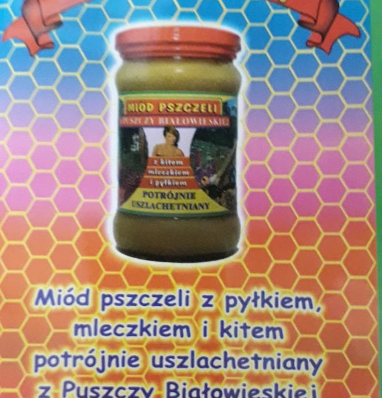 Dwor Bartnika主图