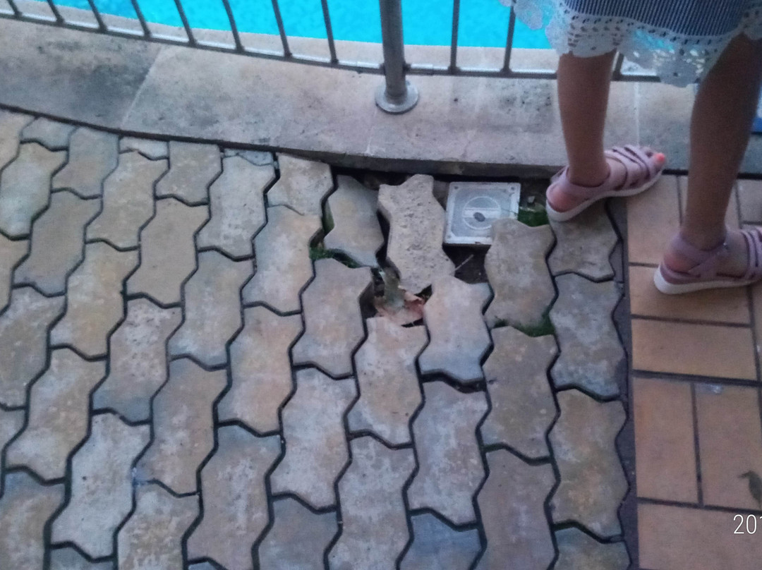 Hotel Orchidea主图