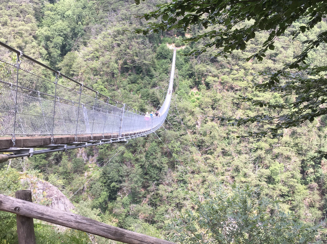 Tibetan bridge "Carasc"景点图片